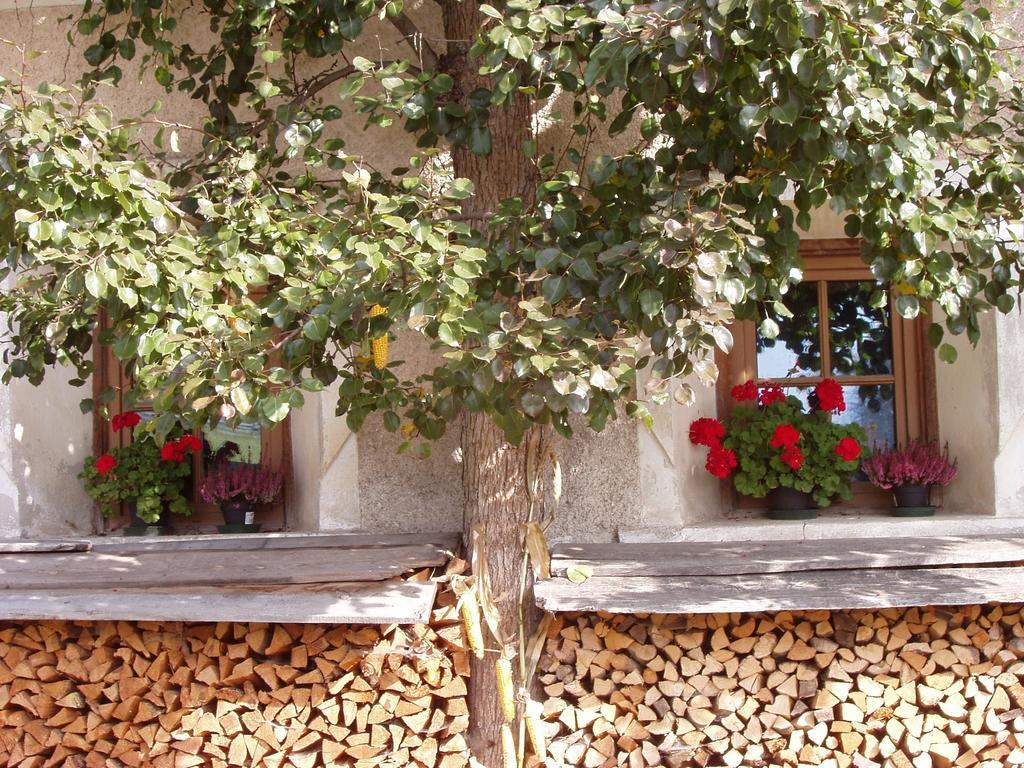 Mansarda Dolomiti Apartment Rasun di Sopra Exterior photo